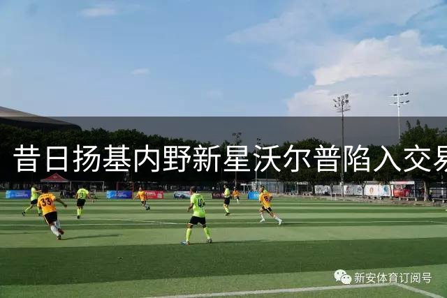 昔日扬基内野新星沃尔普陷入交易困境 美国媒体深度剖析背后原因