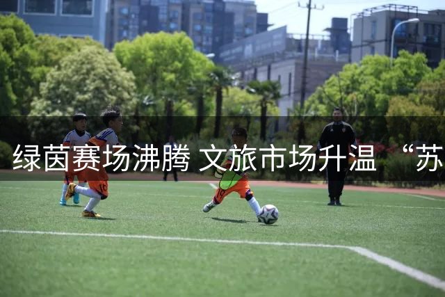 绿茵赛场沸腾 文旅市场升温 “苏超”宿迁主场赛事激活城市活力